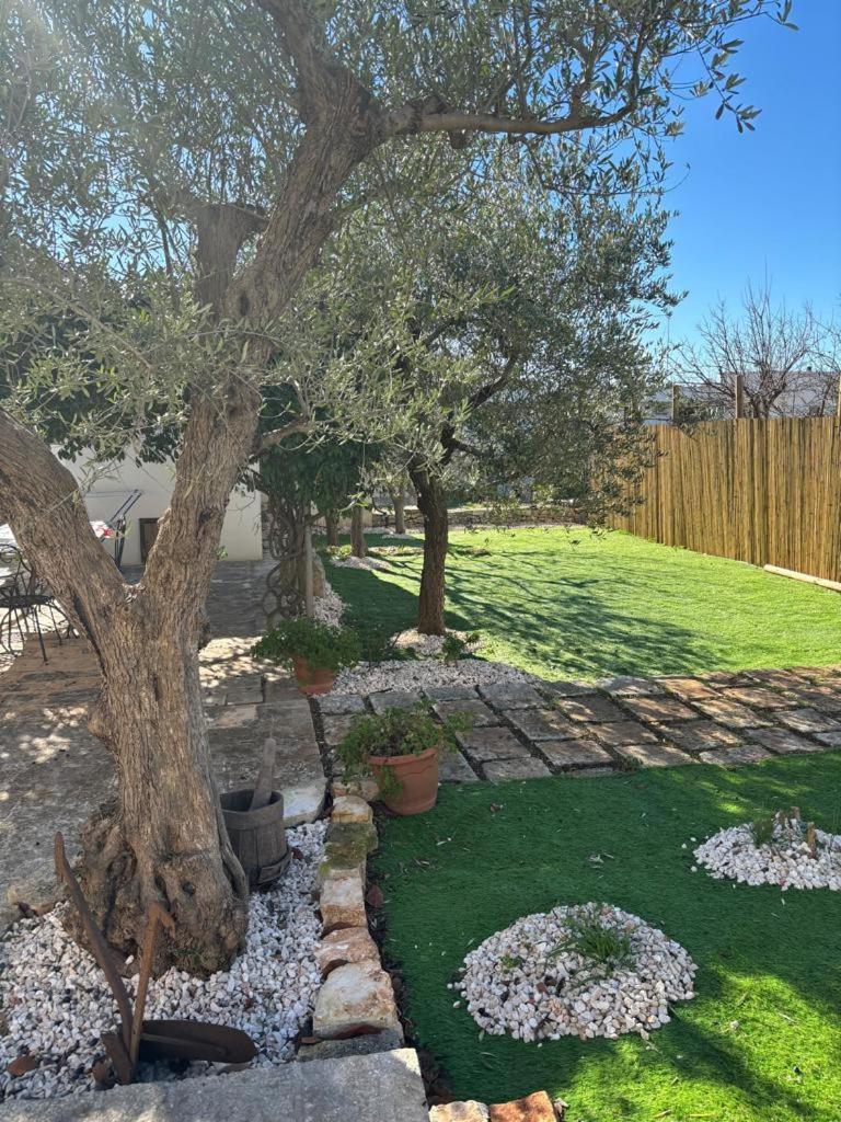 Trullo Vacanza Alberobello Ngoại thất bức ảnh