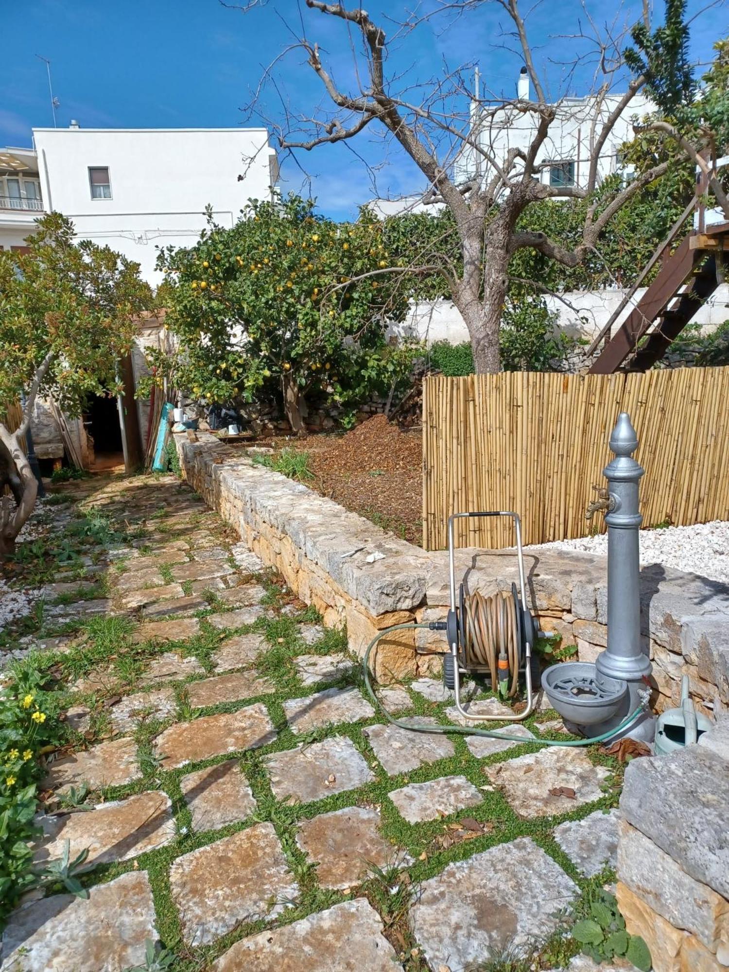Trullo Vacanza Alberobello Ngoại thất bức ảnh