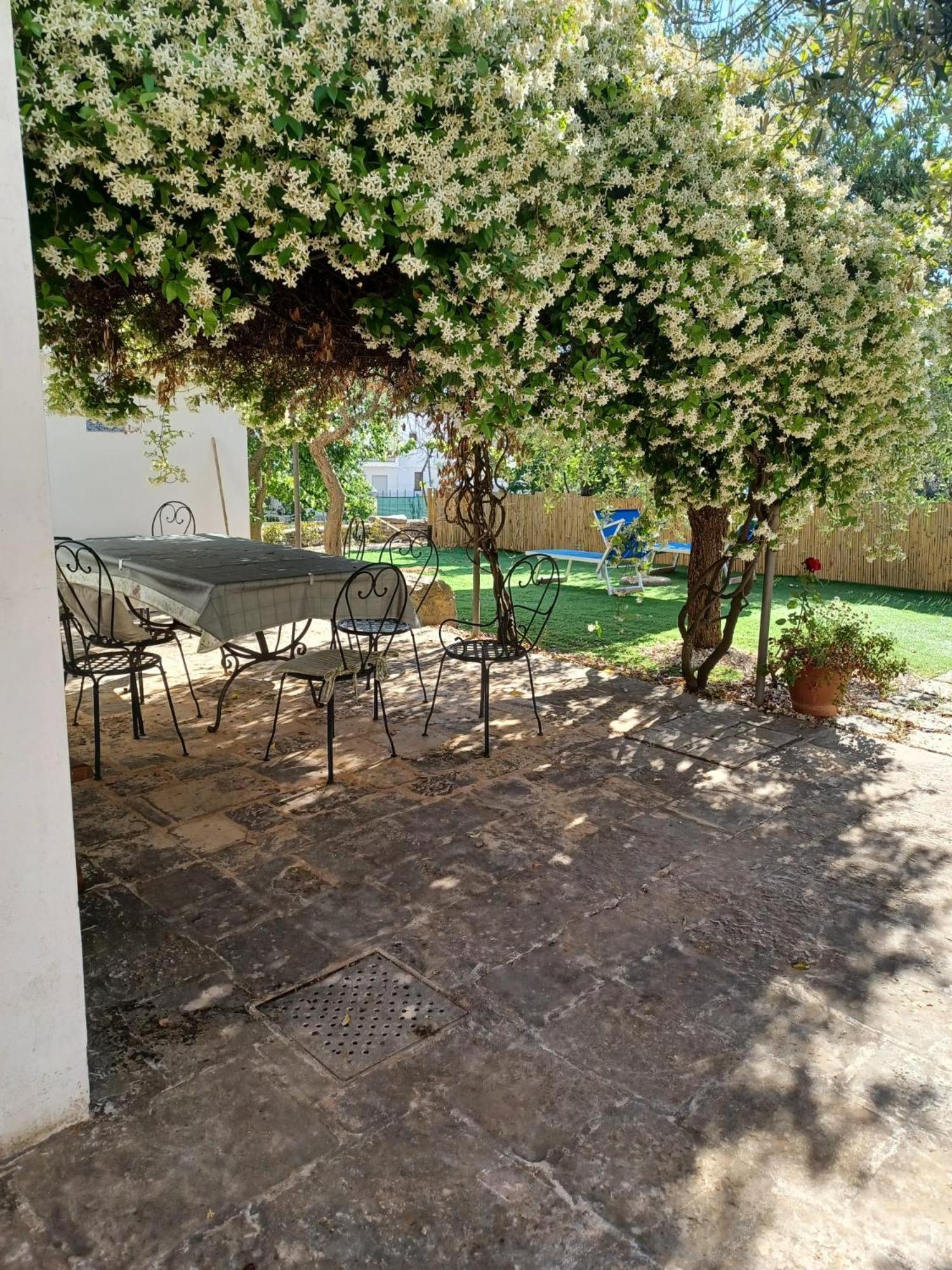 Trullo Vacanza Alberobello Ngoại thất bức ảnh